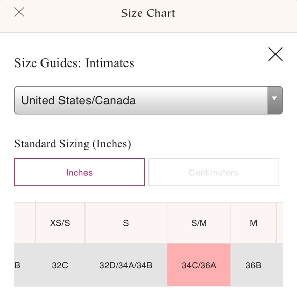 NWT Free People Galloon Lace Halter Bra - Picture 6 of 6
